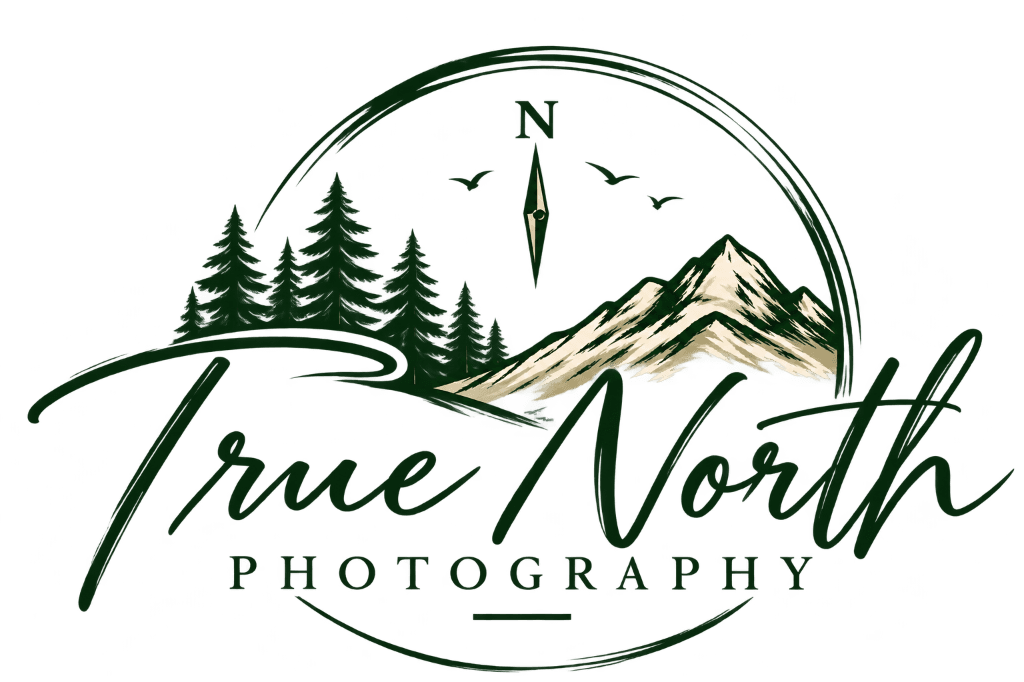 True North Logo Emblem